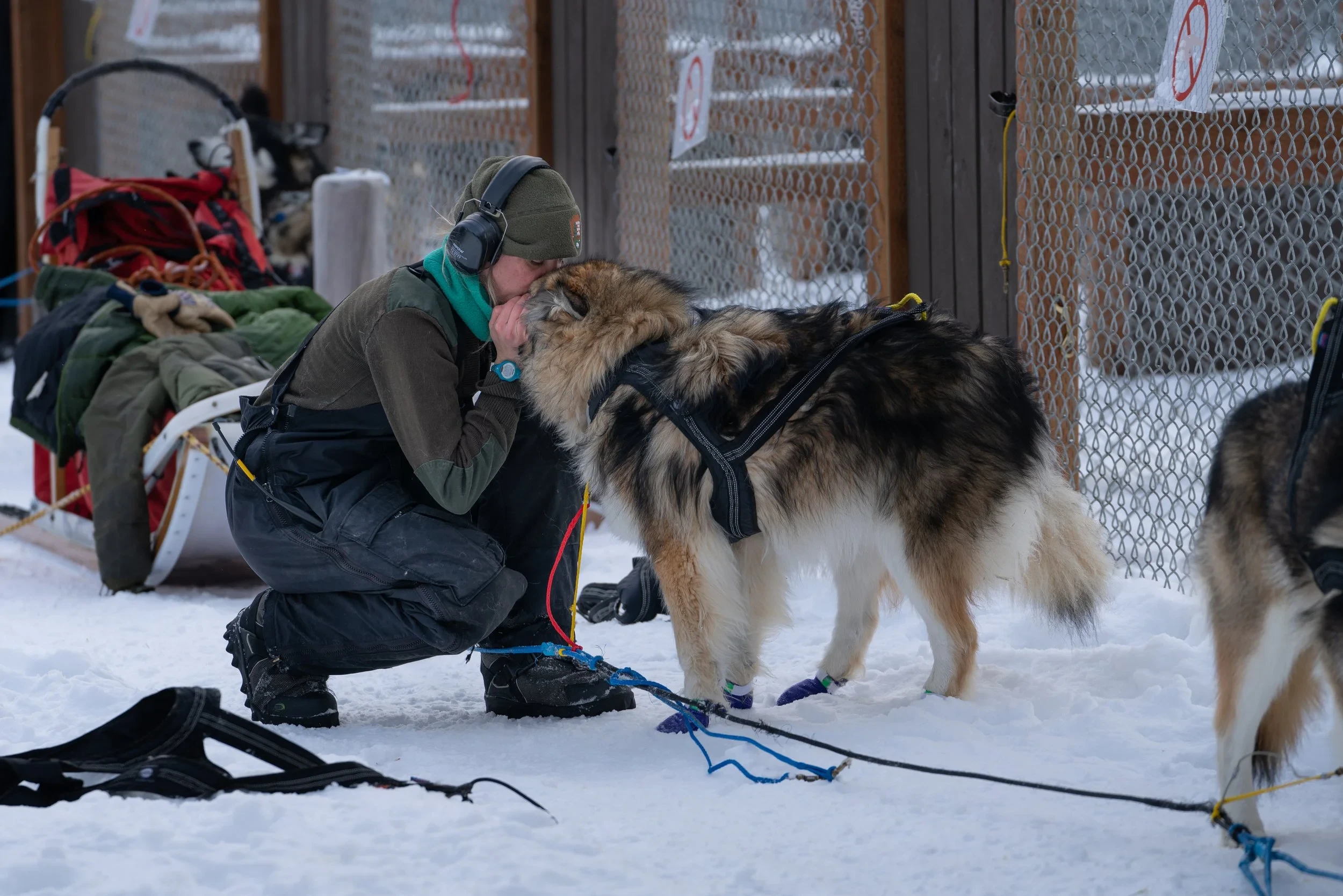 Denali Ranger Julie Carpenter stands with a dog.